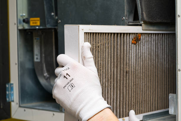 Best Affordable HVAC Duct Cleaning  in Mowbray Mountain, TN
