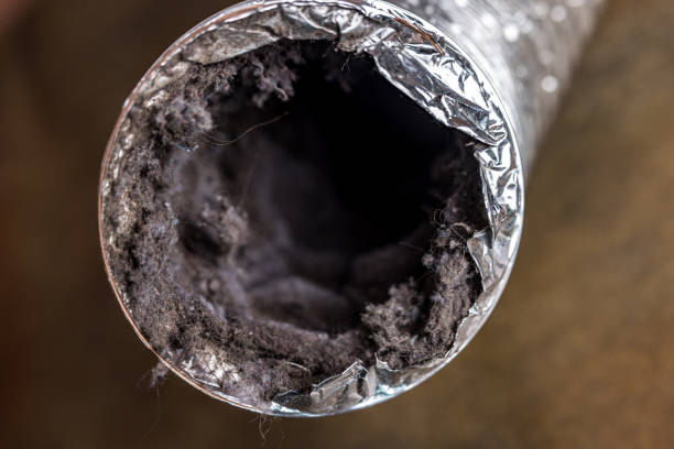 Best Home Air Vent Cleaning  in Mowbray Mountain, TN