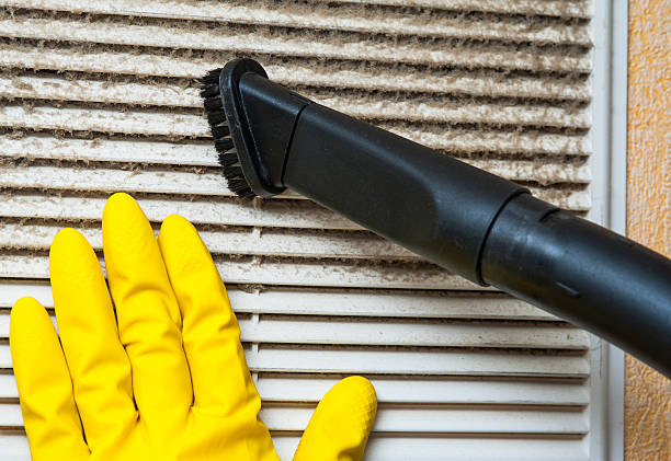 Best Professional Duct Cleaning Services  in Mowbray Mountain, TN